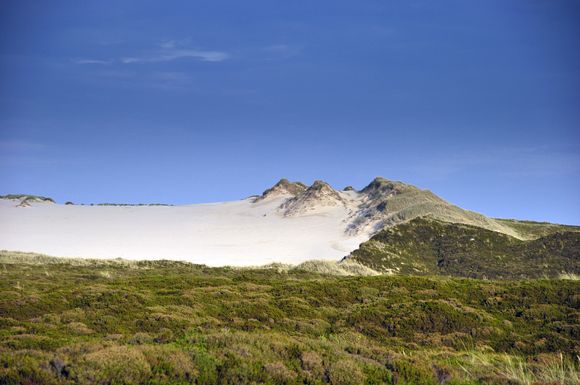 Deutschlands größte Wanderdüne legt pro Jahr bis zu zehn Meter auf der Insel Sylt zurück - immer Richtung Osten.