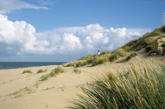 Dünen, Wasser, Wind und eine herrlich klare Luft: Die Naturschätze sind es, die Sylt-Urlauber immer wieder zurück auf die Insel ziehen. Besonders reizvoll ist die Natur am Ellenbogen im Inselnorden.