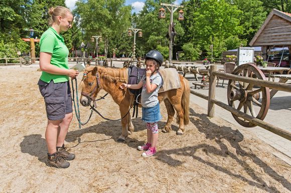 Auf der Ranch des Ferienparks Het Land van Bartje in der niederländischen Provinz Drenthe dreht sich alles um Ponys.