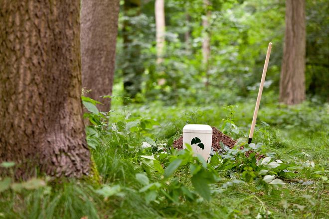 Seit 25 Jahren gibt es in Deutschland die M&ouml;glichkeit, Verstorbene im Wald bestatten zu lassen.