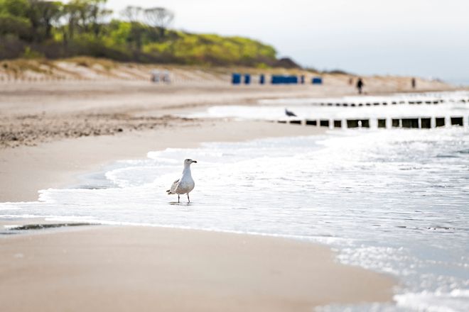 Kilometerlanger weißer Sandstrand, viel Platz zum Ausruhen.