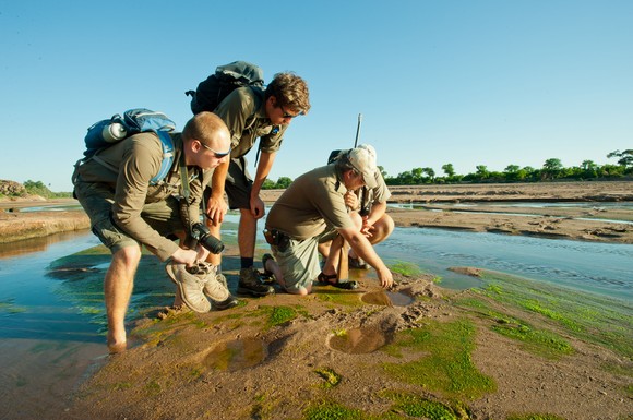Mit dem naturnahen Kurs ist man weit ab der üblichen Touristenpfade tief in den Nationalparks unterwegs und erfährt das Leben als Safari Guide.
