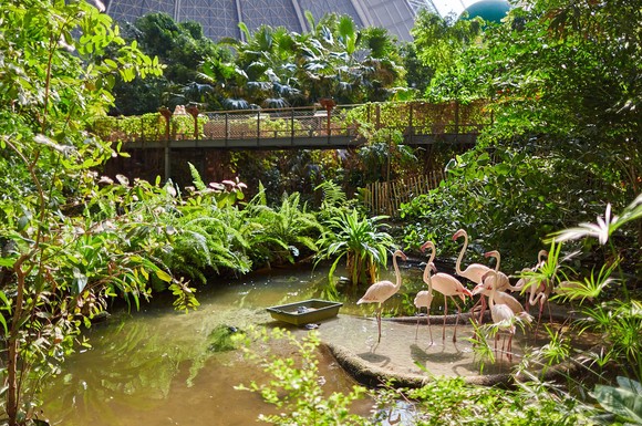 Bei Temperaturen um die 26 Grad Celsius bietet das Resort den passenden Rahmen für Erholung und vielerlei Genüsse.