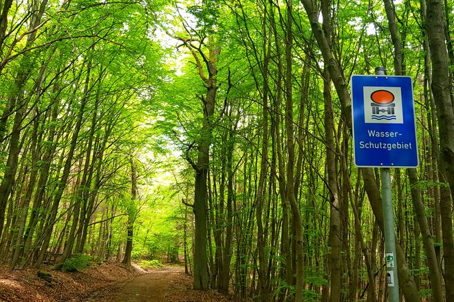 Unser Trinkwasser stammt aus der Natur. Seine Qualität wird beispielsweise durch die Einrichtung von Trinkwasserschutzgebieten gesichert.