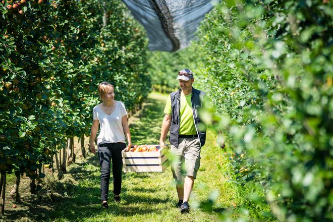 Im Spätsommer und Herbst bricht in Obst- und Weingegenden eine besonders genussvolle (Urlaubs-)Zeit an.