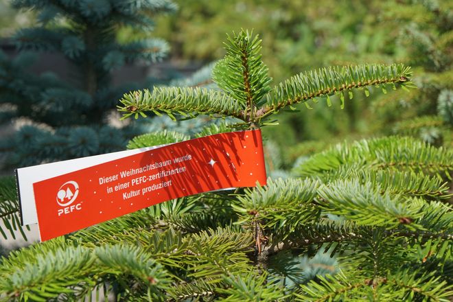 Mit Brief und Siegel: In zertifizierten Weihnachtsbaumkulturen ist der Einsatz von Düngemitteln und Herbiziden weitgehend reduziert.