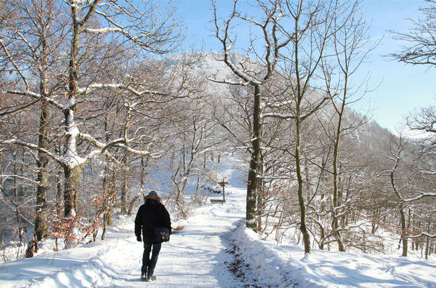 Die wunderschöne Schneelandschaft Bad Harzburgs bei einer Winterwanderung genießen.