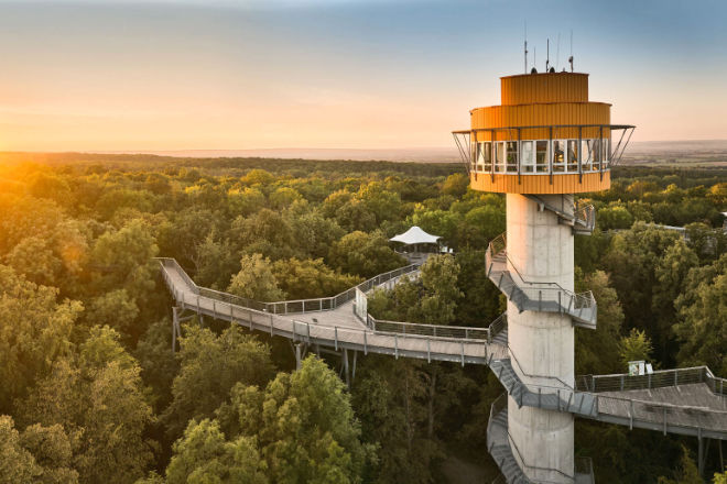 Der Baumkronenpfad im Nationalpark Hainich bietet Ausblicke über die zum UNESCO-Weltnaturerbe gehörenden Urwälder.