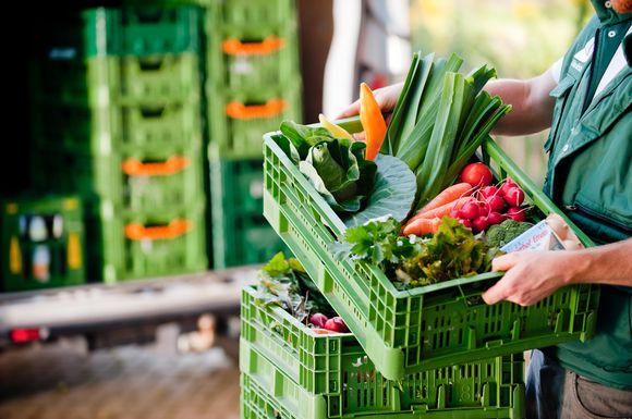 Frisch, in Bioqualität und aus der Region - mit der Ökokiste fällt nachhaltiges Einkaufen leicht.