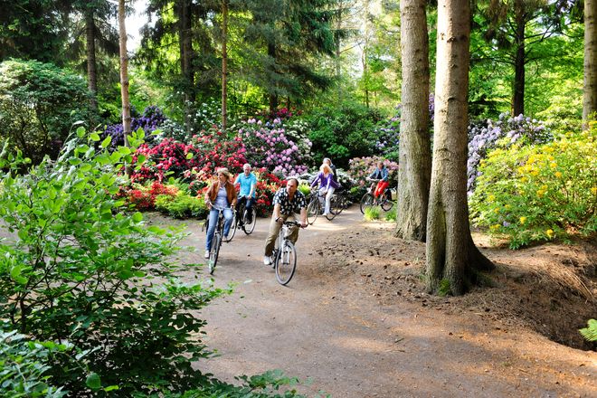 Für jeden Fitnessgrad geeignet: In der Parklandschaft des Ammerlandes sind kaum Steigungen zu bewältigen.