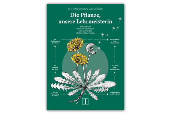 Der Ratgeber "Die Pflanze, unsere Lehrmeisterin" vermittelt altes Wissen über einen hochaktuellen Ansatz.