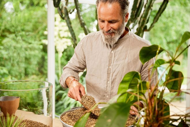 Als nachhaltige Blähton-Alternative eignet sich Pflanzengranulat aus Bimsstein sowohl für Zimmerpflanzen als auch im Garten.
