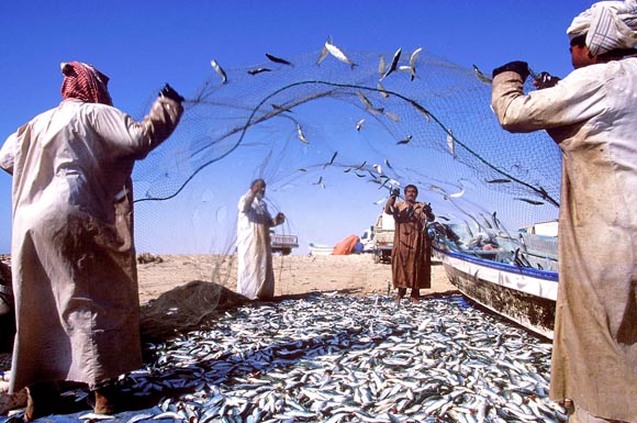 "Catch of the day": Ihren Fang verkaufen die einheimischen Fischer bis heute auf traditionellen Märkten unter freiem Himmel.