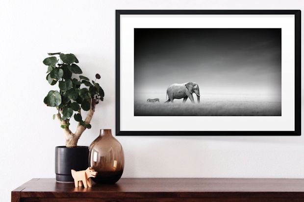 Hochwertige Fotokunst, wahlweise gerahmt, als Leinwand oder Alu-Print, verleiht jeder Wohnung einen individuellen Charakter.