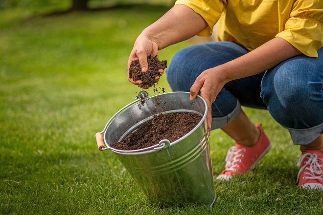 Alles im grünen Bereich: Mit etwas Pflege und dem passenden Nährstoffmix können Freizeitgärtner das Wachstum des Rasens fördern.