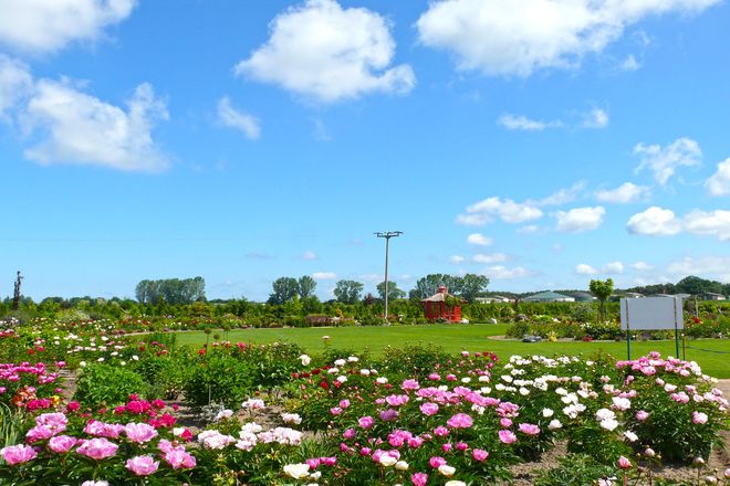 Das grüne Paradies im botanischen Garten Christiansberg lädt auf 20.000 Quadratmetern auf eine Erkundungstour durch die Pflanzenwelt ein.