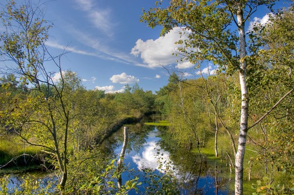 Impressionen aus dem Teufelsmoor nordöstlich von Bremen.