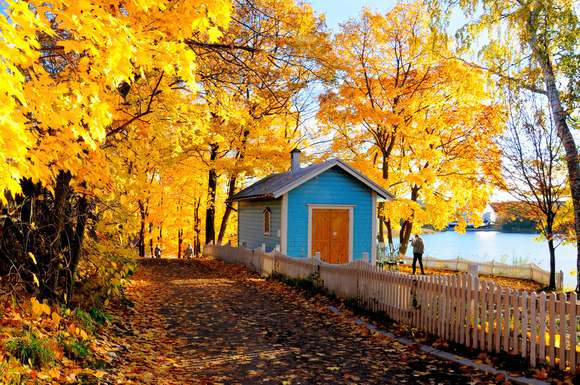 Die Farbenpracht des skandinavischen Herbsts ist mit dem Indian Summer in Nordamerika vergleichbar. Im Bild Impressionen aus Finnland.
