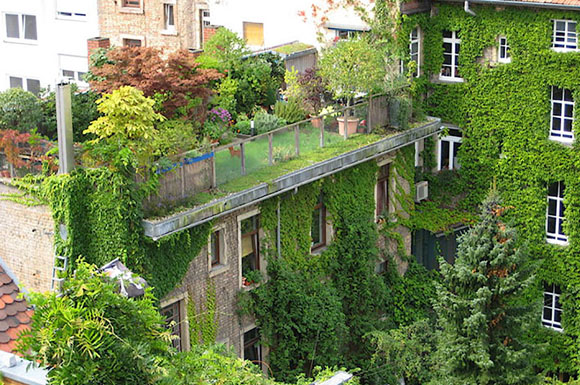 Auch auf Bestandsgebäuden lässt sich ein Gründach nachrüsten: In Eigenleistung wurde auf dem Flachdach eines 1900 erbauten Gebäudes eine nutzbare Dachterrasse mitten in der Stadt geschaffen.