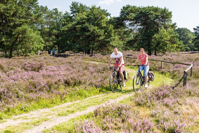 Kultur-Tipp: Die "Heide-Kunst-Tour" erstreckt sich über gut 54 Kilometer. Auf dem Weg liegen 38 Außenskulpturen.