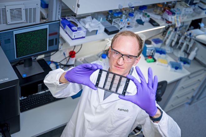 Biologika entstehen unter anderem mithilfe von Zellen.