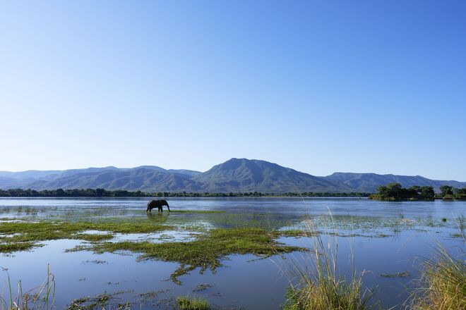 Mit seinen sich fast unendlich erstreckenden Naturparks ist Afrika eine ideale Reiseregion, um fernab von Menschenmengen eine spannende Auszeit zu genießen.