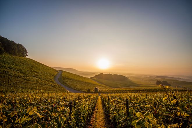 Idyllisch gelegen zwischen Rhein, Neckar und Enz, ist die Region Kraichgau-Stromberg für ihren besonderen Charme und ihre Weinvielfalt bekannt.