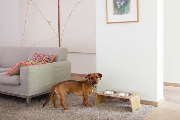 Mit der Dogbar wird der Futterplatz zu einem Blickfang im Wohnzimmer. Die ästhetische Futterstation ist ab 119 Euro erhältlich.