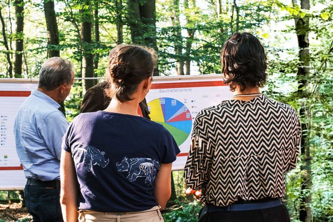 Vom 13. bis 15. September finden die Deutschen Waldtage 2024 unter dem Motto „Wald und Wissen“ statt.