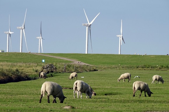 Vorfahrt für die Energiewende: 95 Prozent der Deutschen halten einen weiteren Ausbau der erneuerbaren Energien - etwa der Windkraft - für wichtig oder außerordentlich wichtig.
