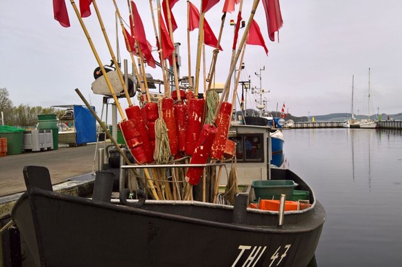 Fischkutter und ein Klönschnack mit den Einheimischen - das gehört für viele Besucher zu einem Urlaub auf Rügen dazu.
