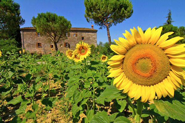 Agrotourimus in der Toskana: Bio-Produkte, Slow Food, Recycling und nachhaltige Energiegewinnung machen dieses familienbetriebene Landgut in Asciano zu einem besonderen Urlaubsziel (Casamundo Objekt-Nr. 2047823).