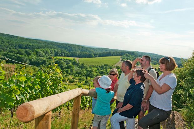 Vom Augenberg bei Sternenfels genießen Wanderer eine schöne Aussicht vom Schwarzwald bis zu den Waldenburger Bergen.