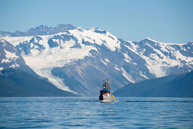 Im Beringmeer vor Alaska werden die Fischbestände nach strengen Richtlinien schonend bewirtschaftet.