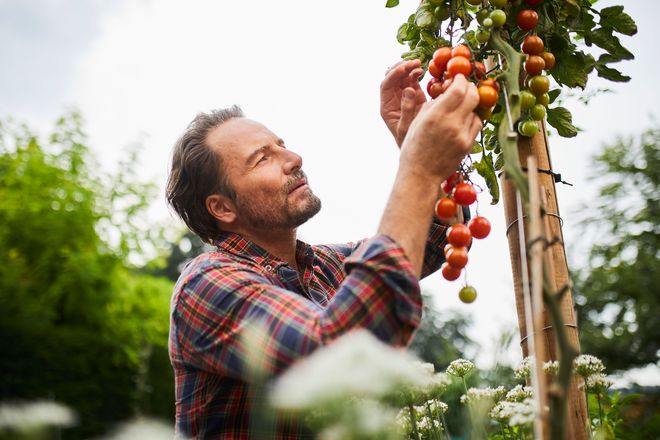 Selbst angebautes Gemüse und Obst schmeckt einfach besser! Ob großzügiger Garten oder knapp geschnittener Balkon, Platz für einige Nutzpflanzen ist fast überall.