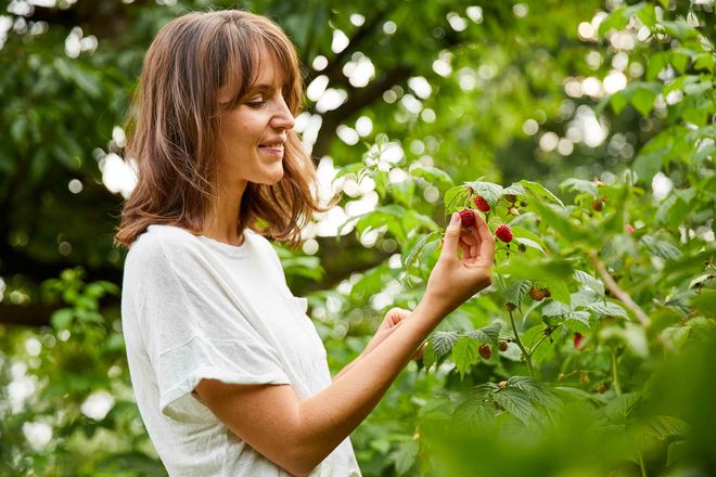 Mit ein paar grundlegenden Tipps gelingt es auch Garten-Einsteigern, Pflanzen zu einem gesunden Wachstum zu verhelfen.