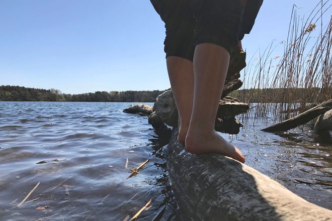 Wirkliche Entspannung ohne lange Fahrtwege erlebt man in der Uckermark - zwischen Klarwasserseen, Waldmooren, unberührten Flussauen und tiefen Wäldern.