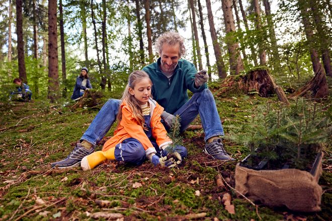 Von den Genossenschaftsbanken initiierte Aufforstungsprojekte sollen dazu beitragen, den Wald als natürlichen CO2-Speicher zu bewahren und klimaresilienter zu machen.