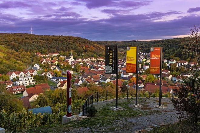 Vom Aussichtspunkt Terroir f geht der Blick auf den bekannten Weinort Ramsthal.
