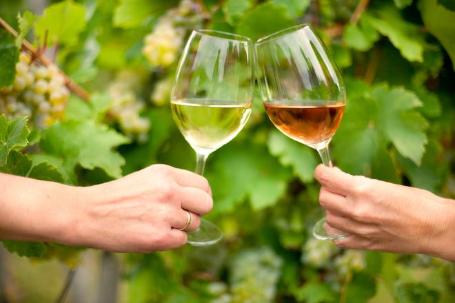 Weingenuss wird in der Wein-Lese-Landschaft Marbach-Bottwartal großgeschrieben.