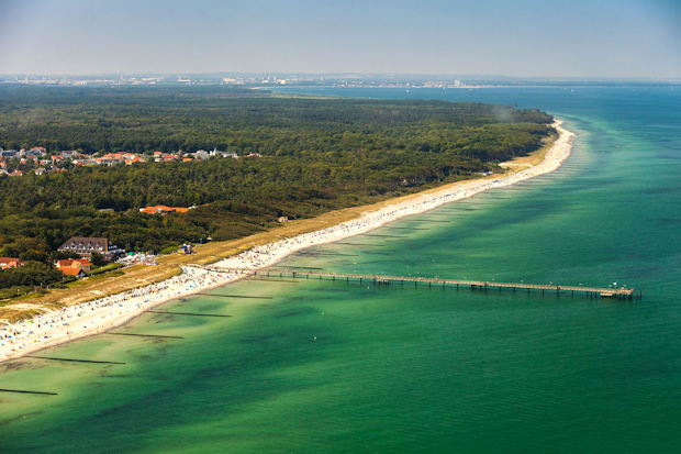 Endlose Wälder grenzen bei Graal-Müritz direkt an die Ostsee.