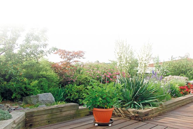 Gartenwege, Büsche und Bäume: Bei der intensiven Dachbegrünung lassen sich individuelle Gestaltungsideen verwirklichen.