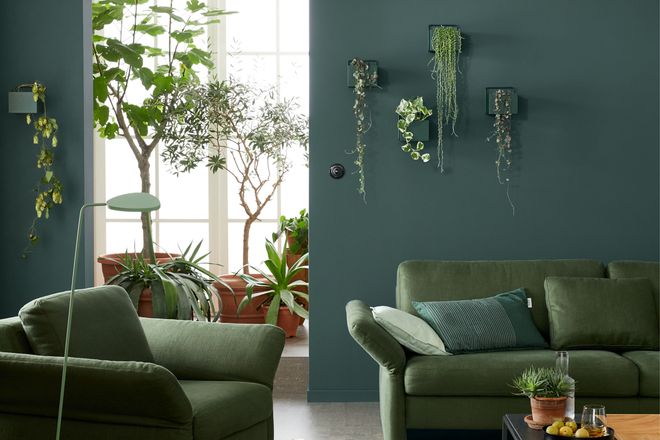 Mit dem Urban-Jungle-Trend entsteht eine gr&uuml;ne Entspannungsoase in den eigenen vier W&auml;nden.