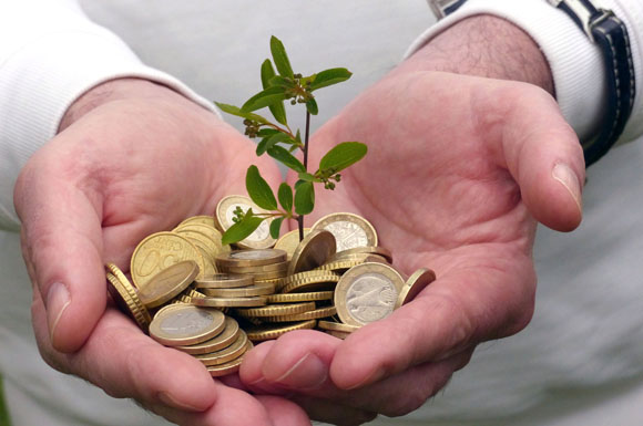 Klimaschutz schafft viele neue "grüne" Jobs: Speziell ausgebildete Anlageberater beispielsweise können sich auf nachhaltige Investments konzentrieren.