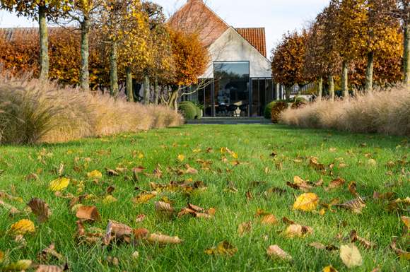 Im Herbst braucht der Rasen im heimischen Garten nochmals einige Pflegeeinheiten, damit er gut und gesund durch die kalte Jahreszeit kommt.