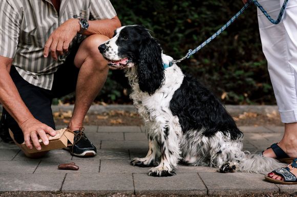 Umweltfreundliche Alternative aus Karton zu Gassibeuteln aus Plastik.