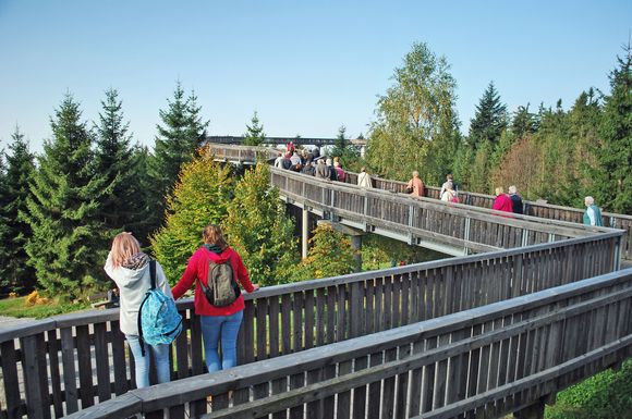 Der WaldWipfelWeg in Maibrunn führt in einer Höhe von 30 Metern mitten durch die Baumkronen.