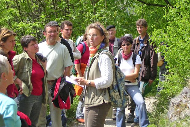 Bei einer geführten Wanderung erfährt man viel über die Besonderheiten des Naturparks Altmühltal.