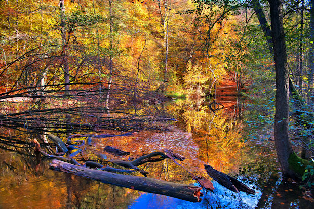 Kunterbunter Herbst: In unzähligen Farbschattierungen präsentiert sich die Natur im Herzogtum Lauenburg, wie hier im Pinnautal bei Mölln.