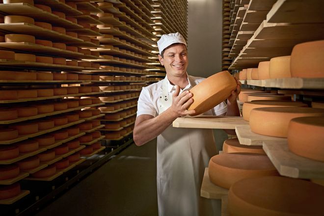 Während der Fermentation wandeln Milchsäurebakterien Laktose in Milchsäure um. Heumilchkäse gilt daher als laktosefrei.